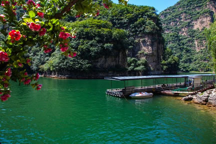 ���c�{�L���D