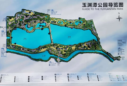 ��Y̶���@���[�D